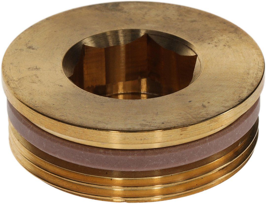 BOSCH Ersatzteil TTNR: 8735101094 Stopfen G1 1/2" SW22 mit PTFE-Ring EVERP