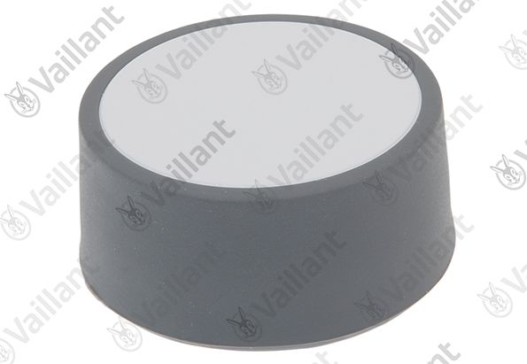 VA Knopf Vaillant-Nr. 0020213174