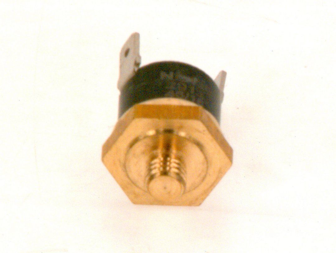 Bosch Temperaturbegrenzer