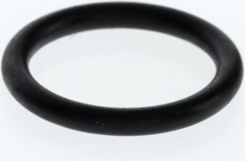 O-Ring (10x)