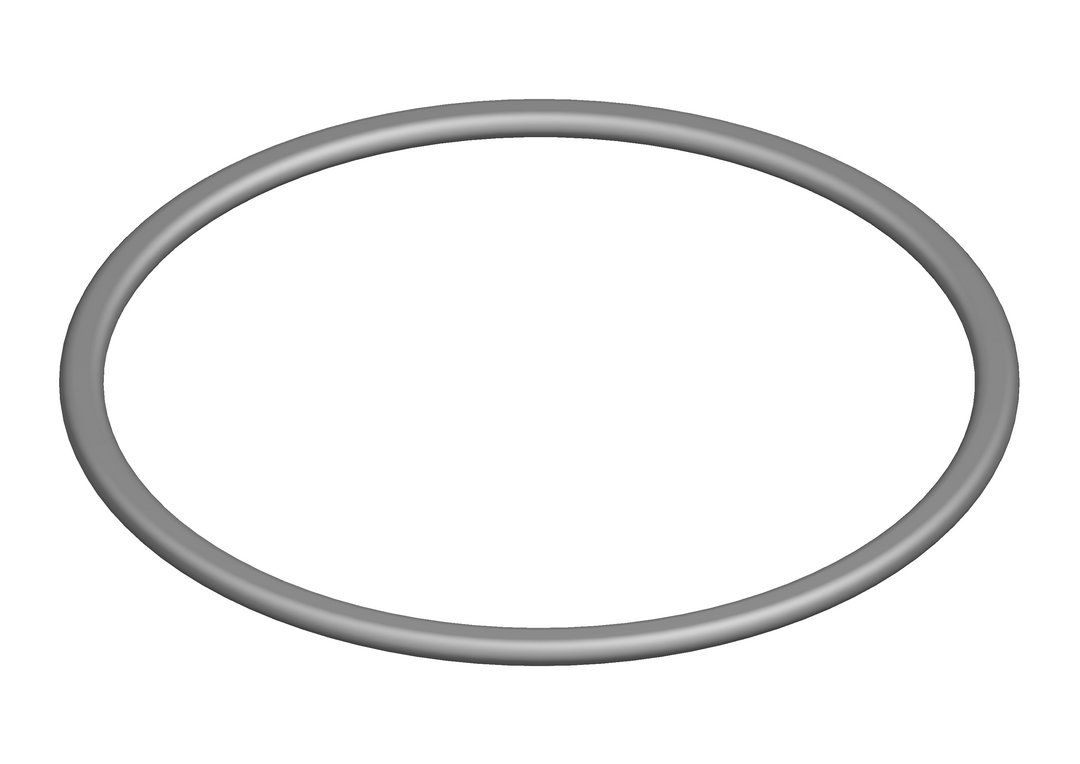 O-Ring (10x)