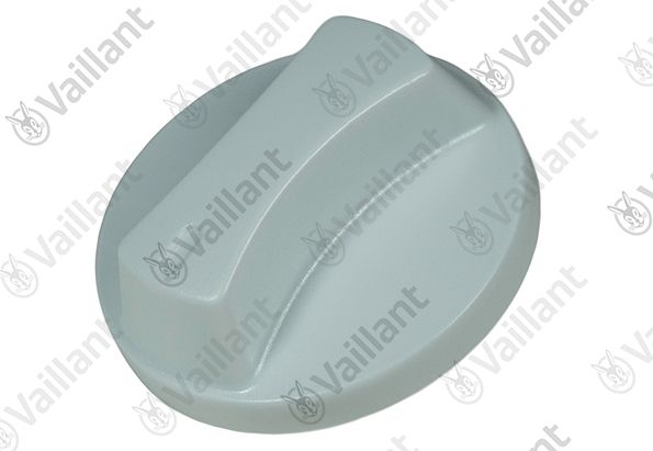 VA Knopf Vaillant-Nr. 0020206071