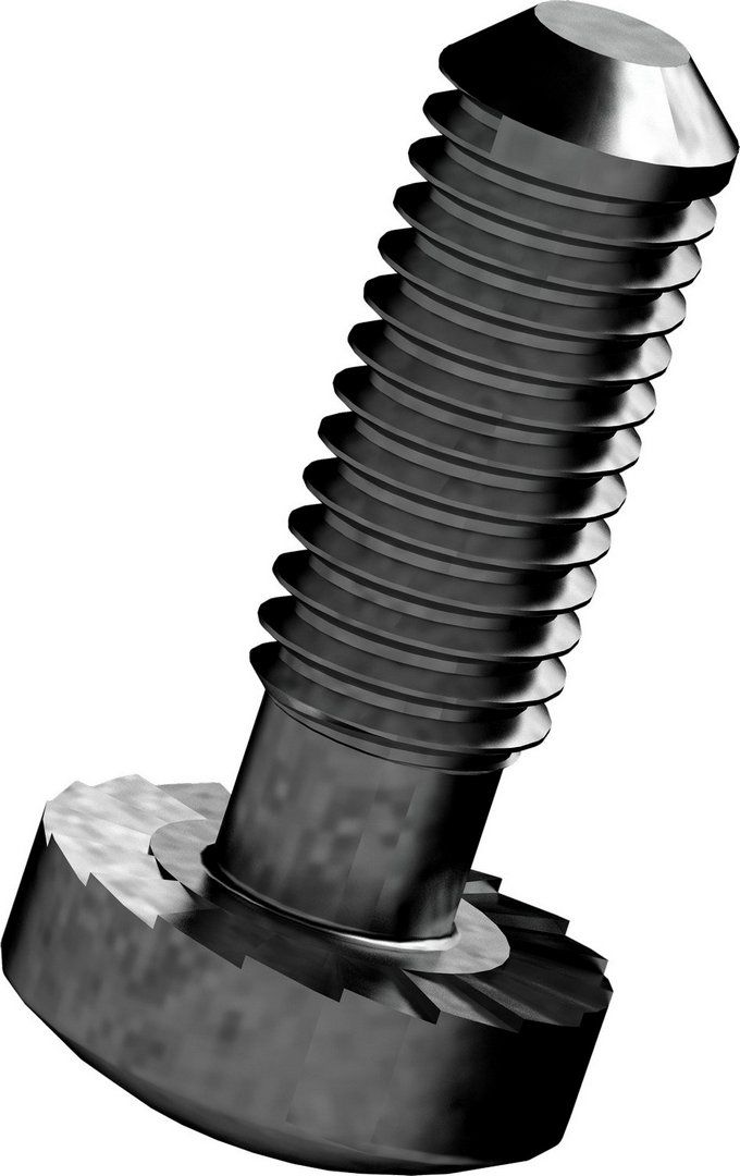 BOSCH Ersatzteil TTNR: 8737604201 Schraube M5x15 (10x)