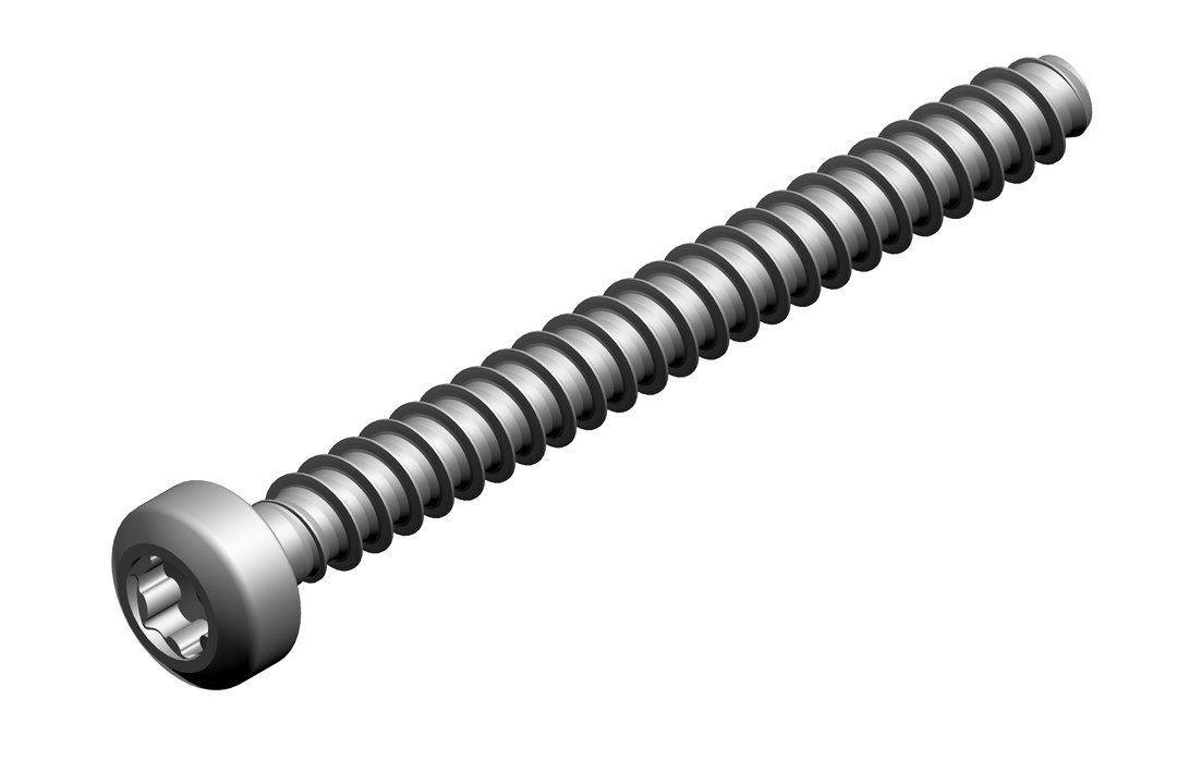 BOSCH Ersatzteil TTNR: 7736700683 Schraube M 35 x 35 (2x)