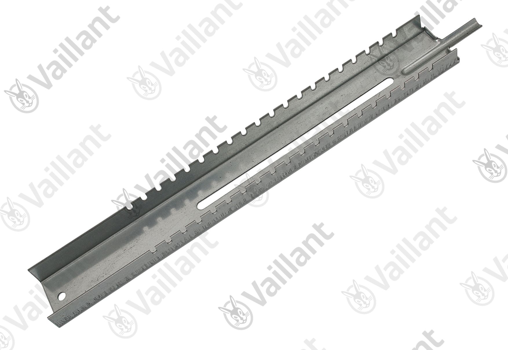 Vaillant Träger ECOTEC (AUS 300908/30093 3) 303250
