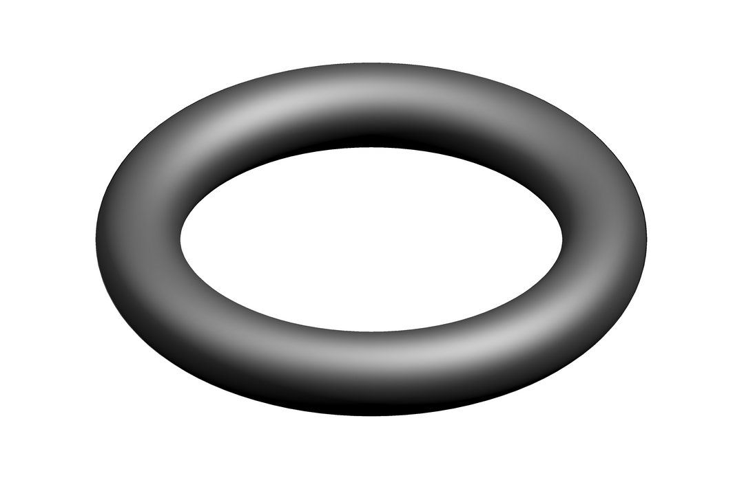 O-Ring (10x)