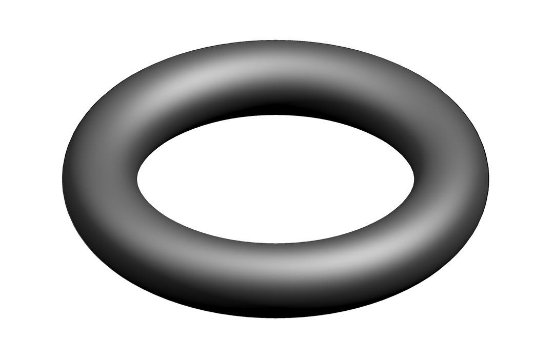 O-Ring (10x)