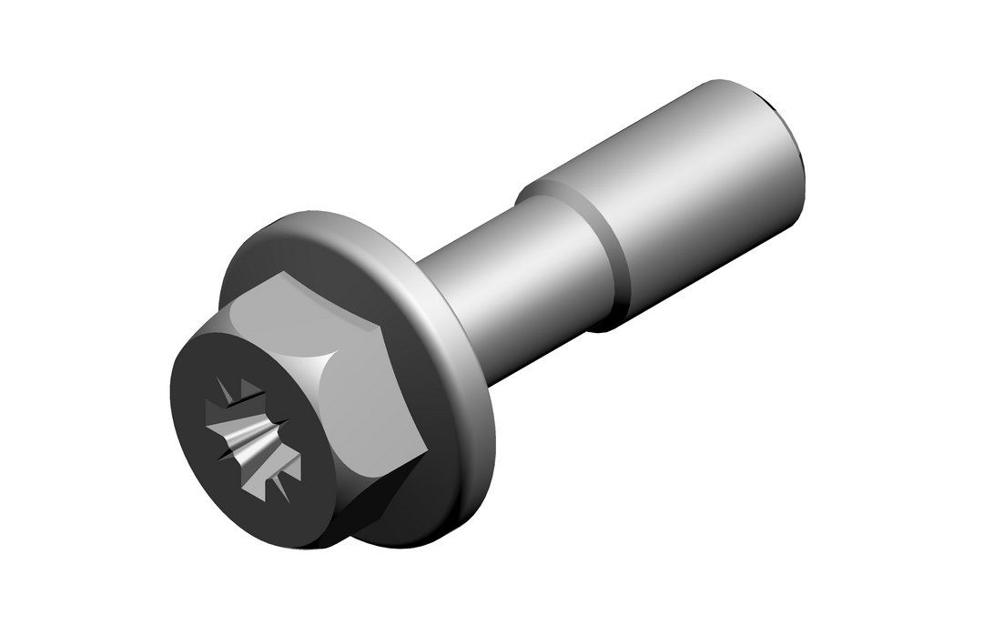 BOSCH Ersatzteil TTNR: 7746900431 Schraube (10x)