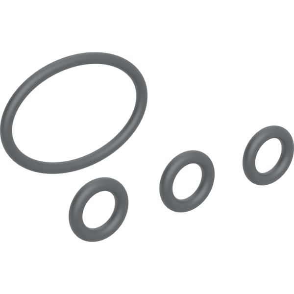 GE Set O-Ringe für Duschdüse f. Geberit AquaClean Mera/Sela/Tuma/Alba