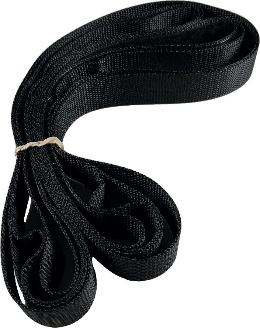 BOSCH Ersatzteil TTNR: 8738209184 Spannband (s)