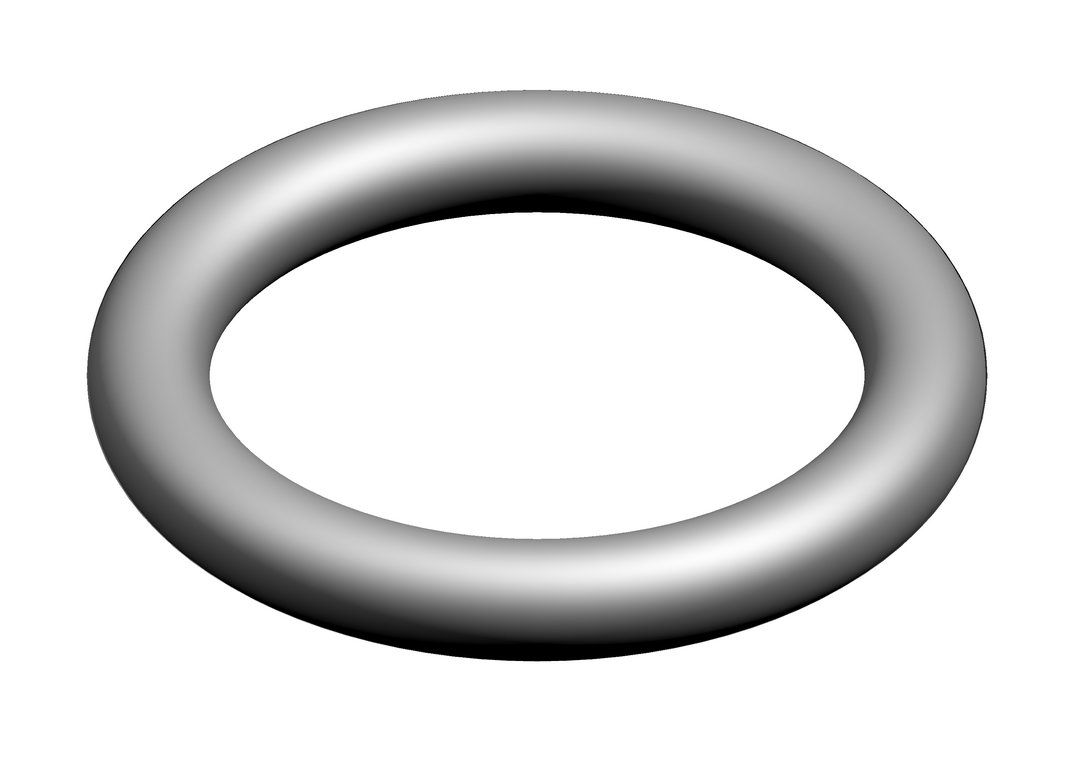 O-Ring (10x)