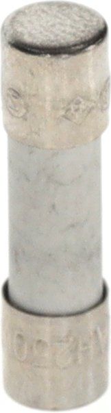 BOSCH Ersatzteil TTNR: 8716118124 Sicherung 5x20mm T5A / 250V