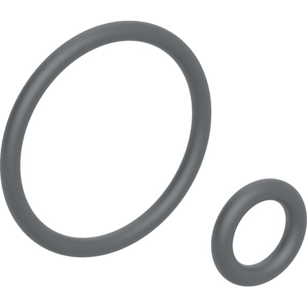 GE O-Ring für Duscharm für Geberit AquaClean Sela(bis Bj 2018)/4000
