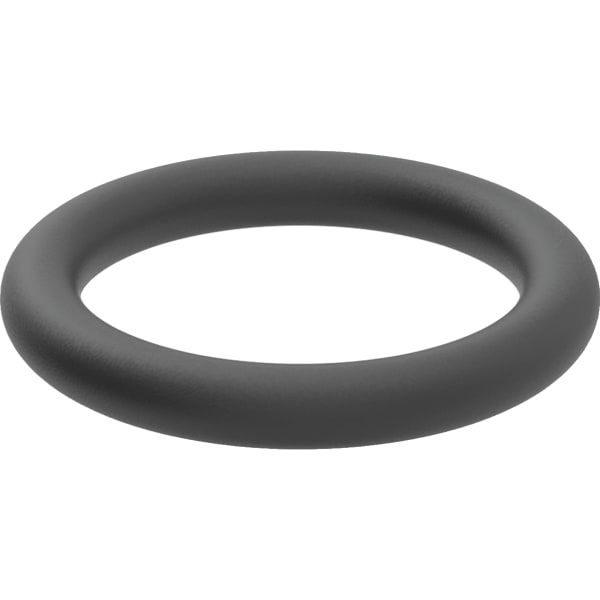 GE O-Ring aus EPDM für Panzerschlauch